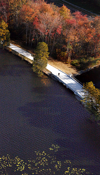 aerial photo of a campus path