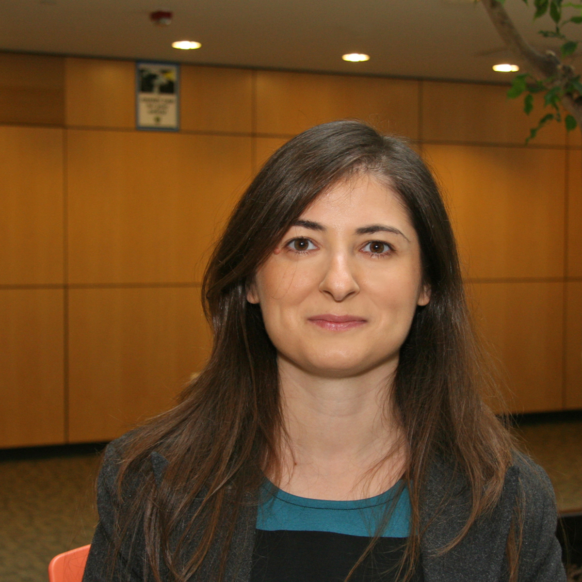 Zornitsa Kalibatseva, Ph.D.