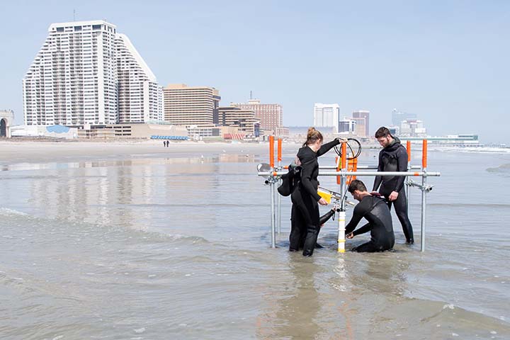 three students in wet suits collect samples on a beach