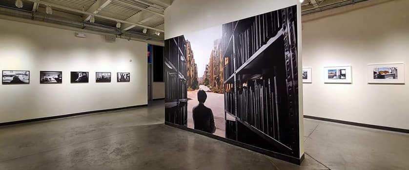 Gallery display of Ara Oshagan, Disrupted, Border