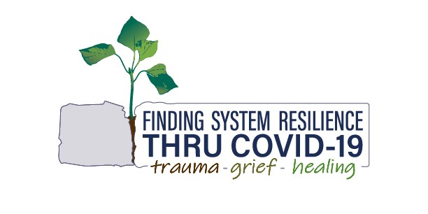 Finding System Resilience through COVID-19