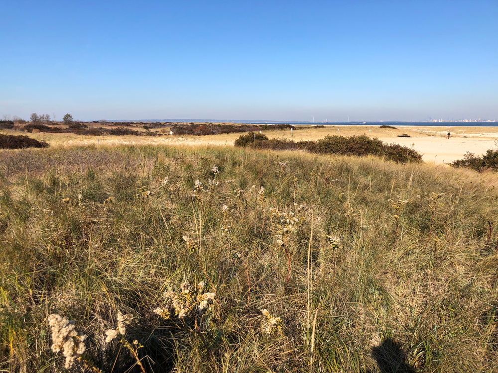 This view looking north toward NYC from Site #385 on the northern tip of Sandy Hook National Seashore illustrates the vastness of the expanse of this site (fall 2019).