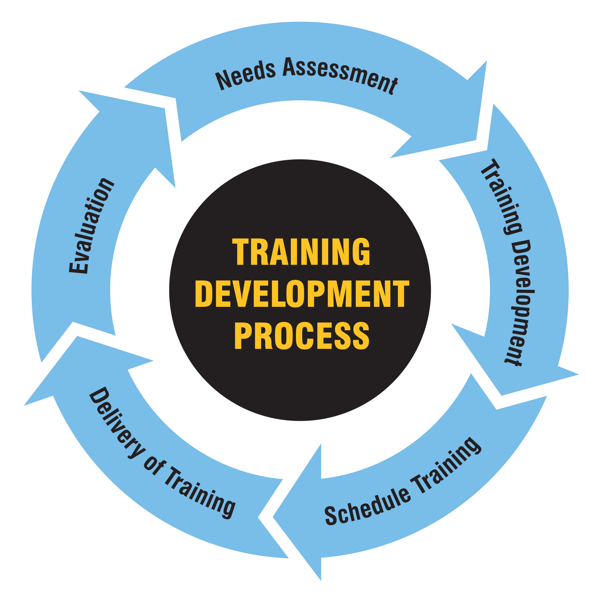 Training Development Process Infographic