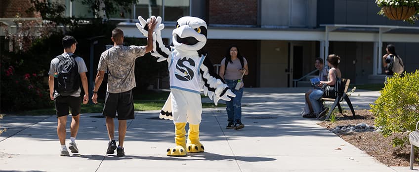 Students giving high fives to Talon while walking down College Walk