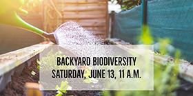 Backyard Biodiversity