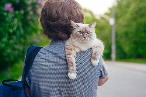 Student holding a cat
