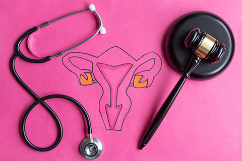 diagram of female reproductive system with gavel