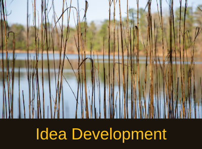 Idea Development