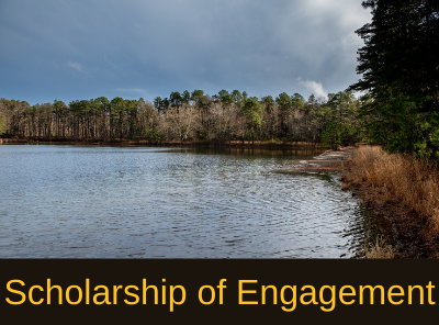 Scholarship of Engagement link