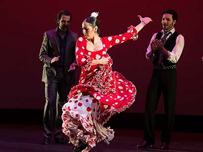 flamenco vivo