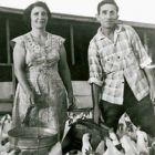 Chana & Joseph Krantz tending to chickens on their poultry farm in Vineland, NJ (1962)