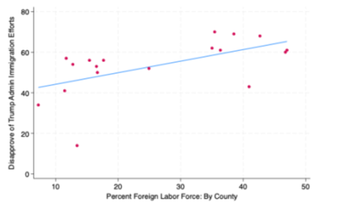 Graph 5