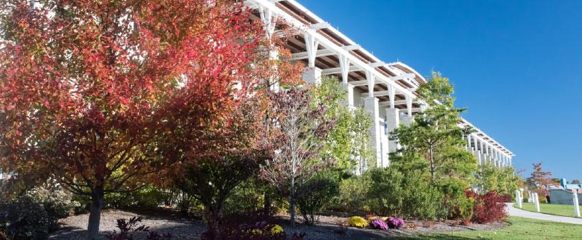 About Stockton About Stockton University Stockton University