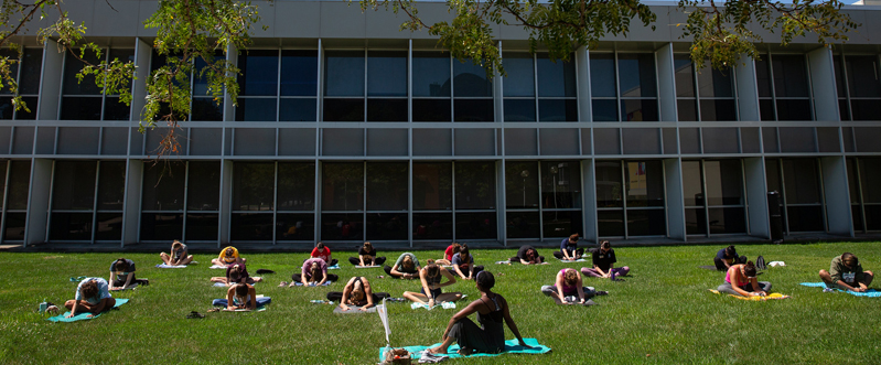 Staff, faculty and students outside on the grass taking a yoga class Staff, faculty and students outside on the grass taking a yoga class