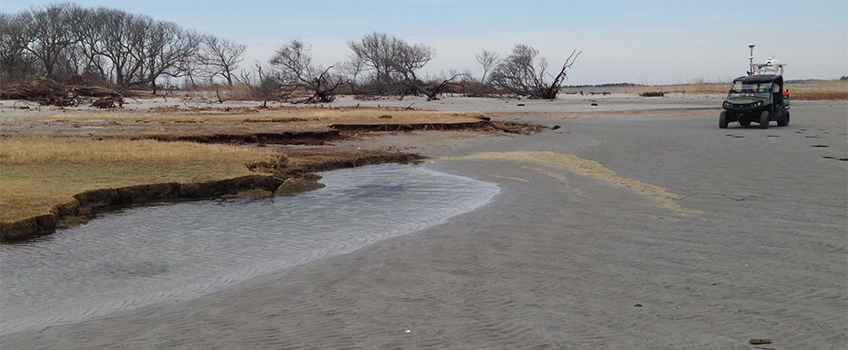 Little Beach Survey 3 2016 Little Beach Survey 3 2016