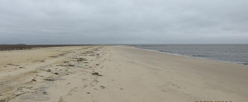 Moores Beach East Postfill Moores Beach East Postfill
