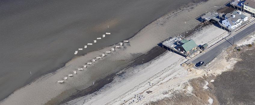 Oyster Reefs Oyster Reefs