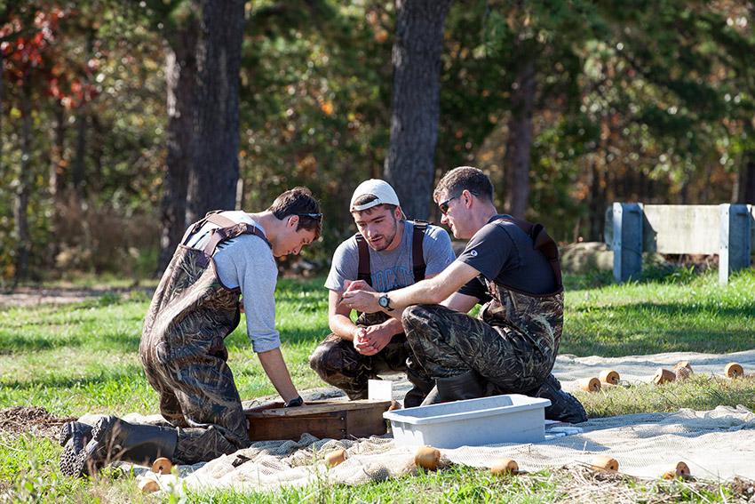 国产传媒 marine science students seining in Port Republic, NJ 国产传媒 marine science students seining in Port Republic, NJ