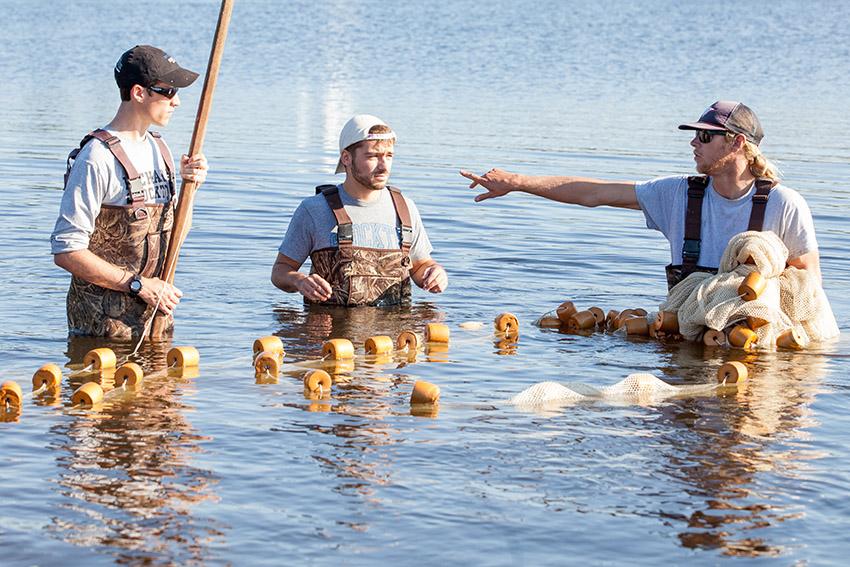 Stockton University marine science students seining in Port Republic, NJ Stockton University marine science students seining in Port Republic, NJ