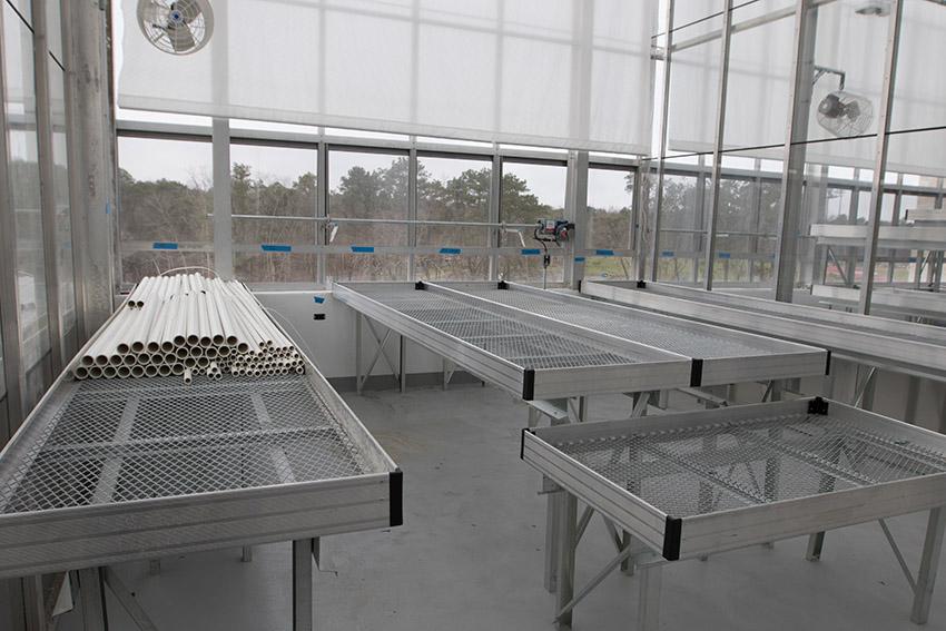 USC2 greenhouse USC2 greenhouse