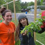 Bernadette Trendler and Eriana Koncelik have been working hard this summer at the Community Garden. 