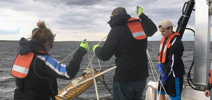Student researchers deploy a tilt current meter, Mullica River NJ. Student researchers deploy a tilt current meter, Mullica River NJ.