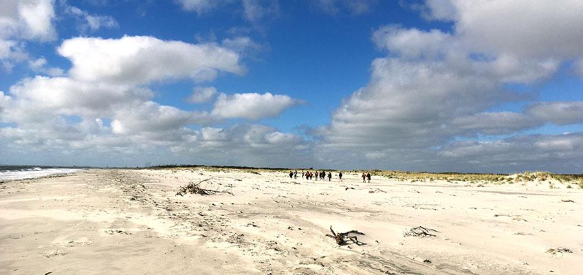 Marine Geology students explore Pullen Island. Marine Geology students explore Pullen Island.