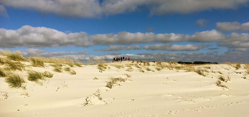 Students visit a natural barrier island, Great Bay, NJ. Students visit a natural barrier island, Great Bay, NJ.