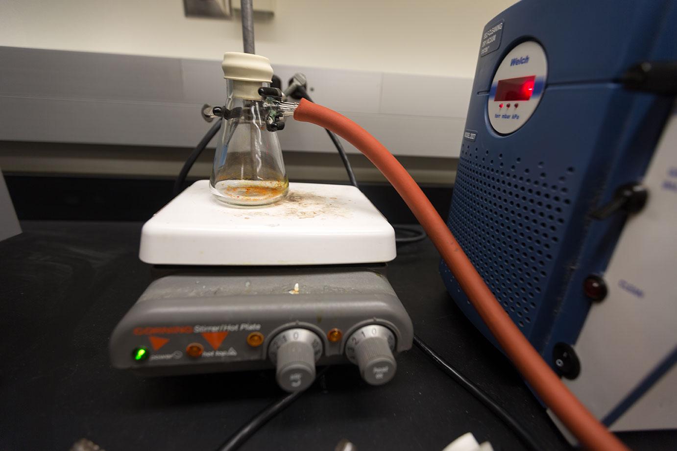 REAP Photographs Photo 2 REAP Photographs Photo 2