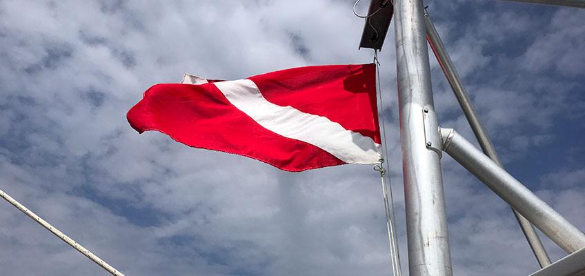 Divers down! Divers down!