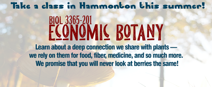 Undergraduate Summer Course in Hammonton.
