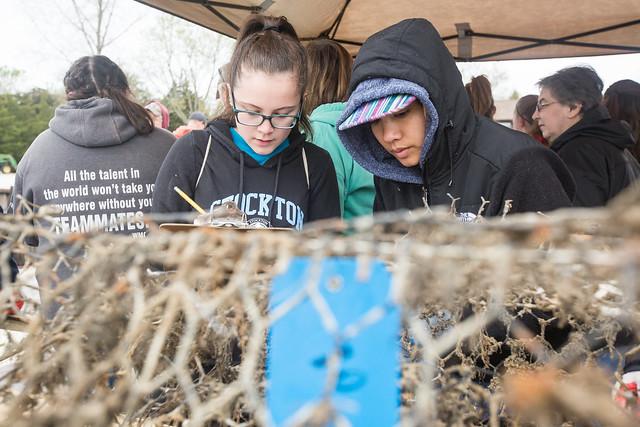 NAMS Marine Debris e-zine slideshow Photo 5 NAMS Marine Debris e-zine slideshow Photo 5