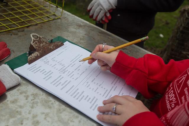 NAMS Marine Debris e-zine slideshow Photo 6 NAMS Marine Debris e-zine slideshow Photo 6