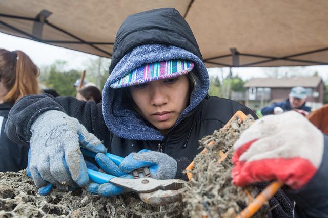 NAMS Marine Debris e-zine slideshow Photo 9 NAMS Marine Debris e-zine slideshow Photo 9