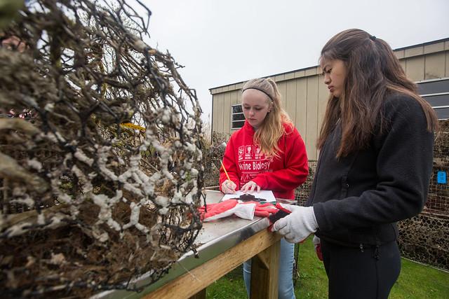 NAMS Marine Debris e-zine slideshow Photo 8 NAMS Marine Debris e-zine slideshow Photo 8