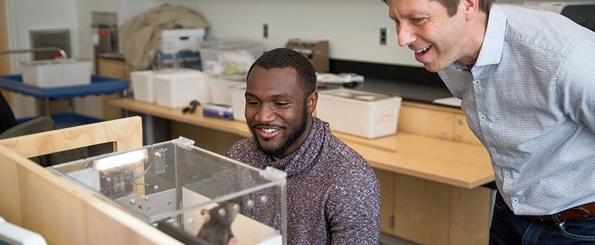 Learning Laboratory Learning Laboratory