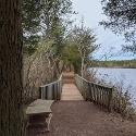 The Dark Path by Lake Fred.