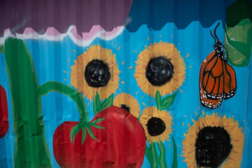 Farm Shipping Container Mural Photo 4 Farm Shipping Container Mural Photo 4