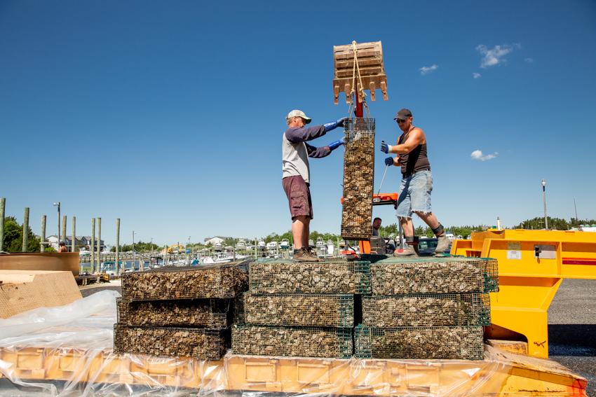 Tuckerton Reef 2020 Photo 1 Tuckerton Reef 2020 Photo 1