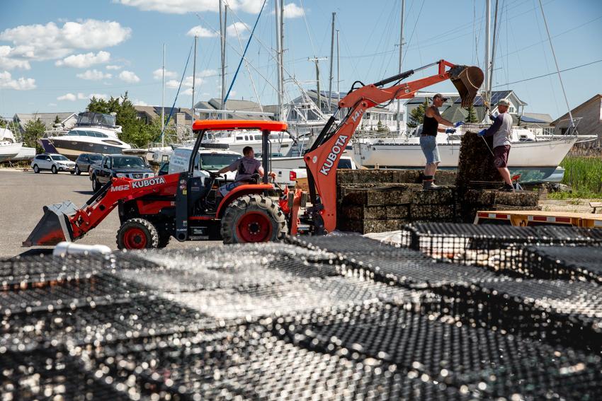 Tuckerton Reef 2020 Photo 2 Tuckerton Reef 2020 Photo 2