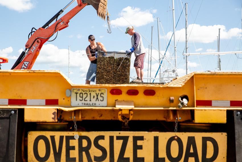 Tuckerton Reef 2020 Photo 4 Tuckerton Reef 2020 Photo 4