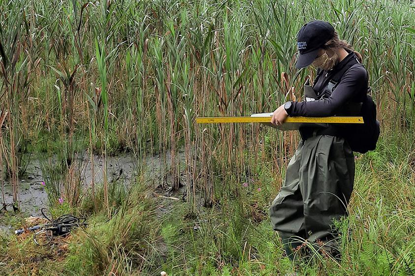 SUEIP Photo Gallery Photo 1 SUEIP Photo Gallery Photo 1