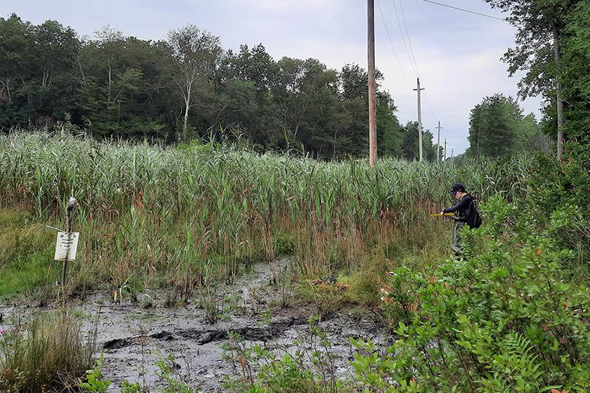 SUEIP Photo Gallery Photo 2 SUEIP Photo Gallery Photo 2