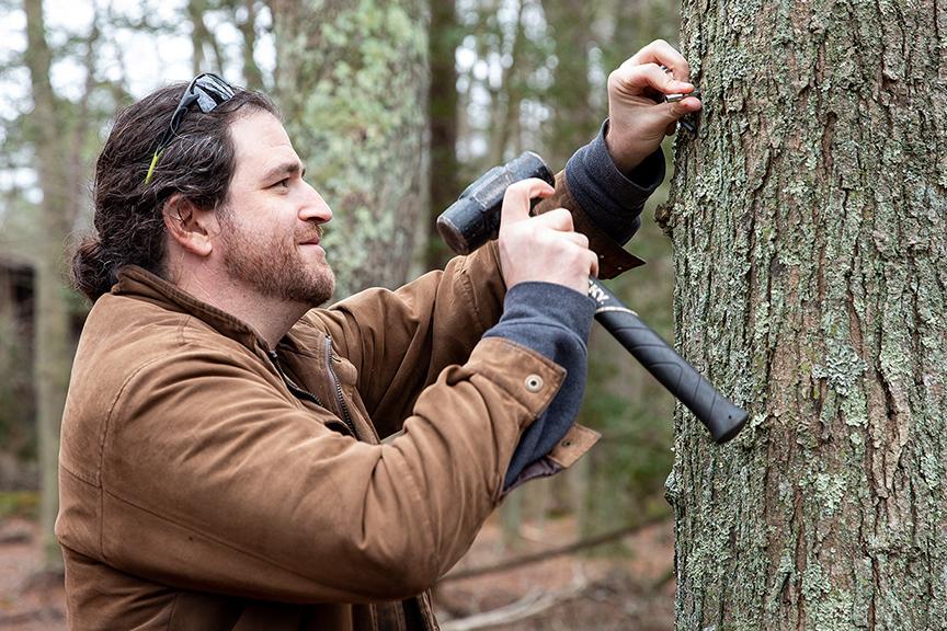 Maple syrup grant Photo 3 Maple syrup grant Photo 3