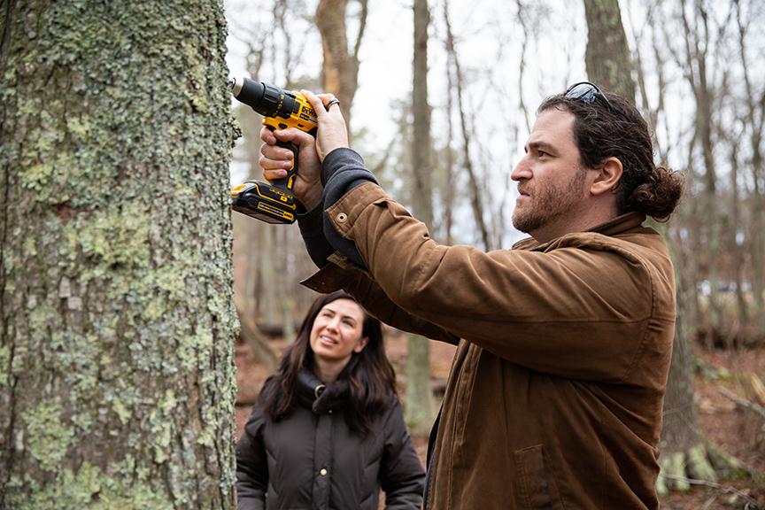 Maple syrup grant Photo 2 Maple syrup grant Photo 2