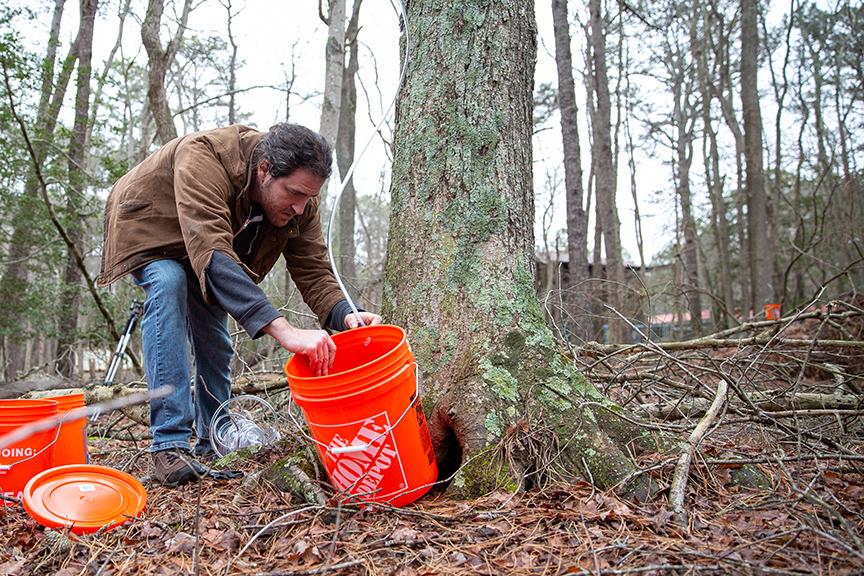 Maple syrup grant Photo 5 Maple syrup grant Photo 5