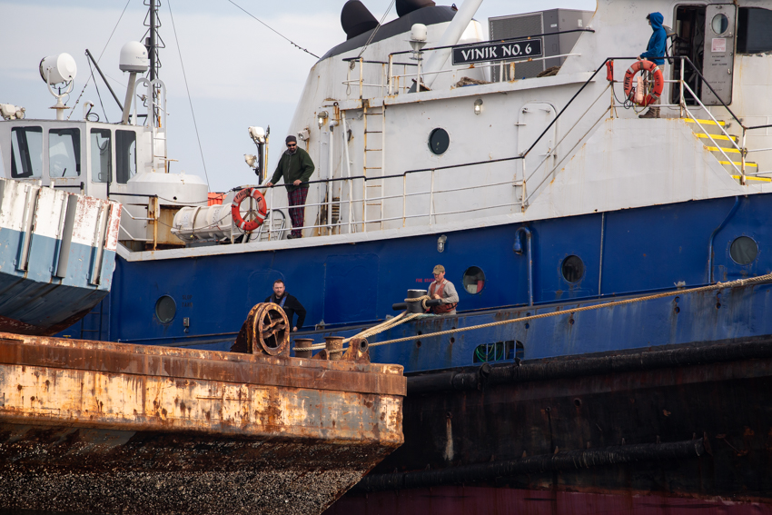 Reefing Slideshow 2021 Photo 7 Reefing Slideshow 2021 Photo 7