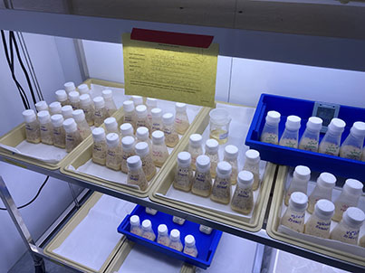 remote learning Photo 5 remote learning Photo 5