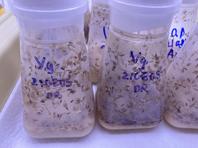 remote learning Photo 4 remote learning Photo 4