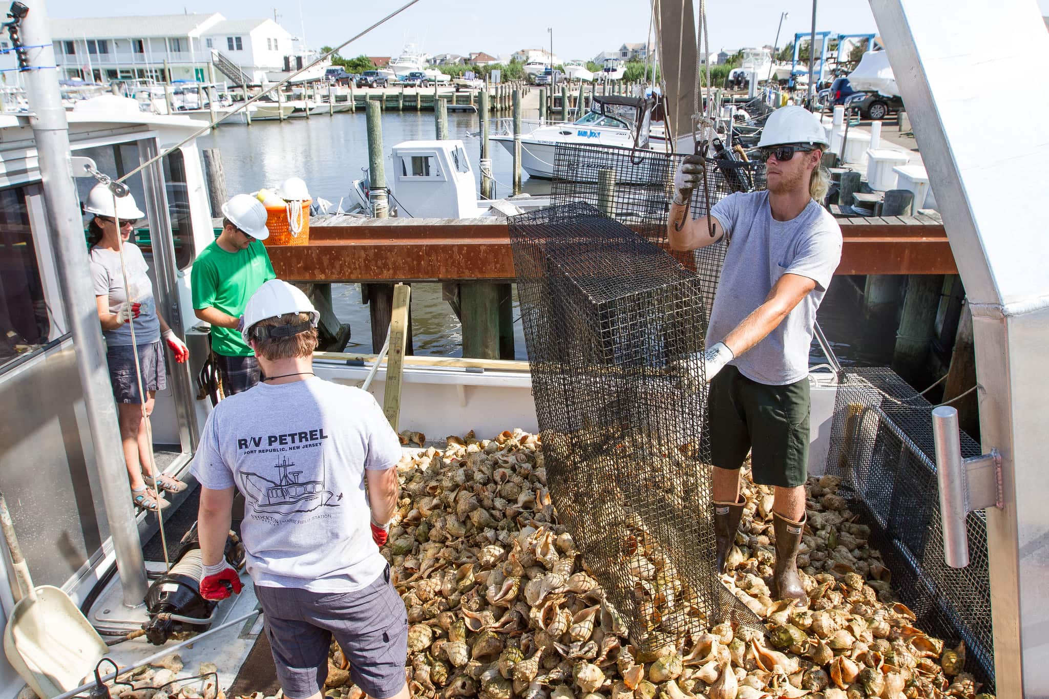 Oyster Update 2021 Photo 3 Oyster Update 2021 Photo 3